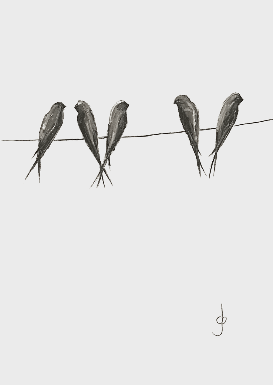 Swallows on a wire 02 A5 Art print