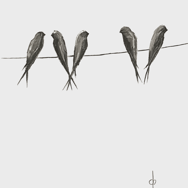 Swallows on a wire 02 A5 Art print