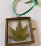 Vintage Pressed Acer Leaf Hanging Decoration - Image 3