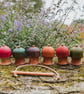 Wooden Spinning Top with String Whip & Peerie