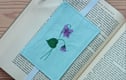 Bookmarks