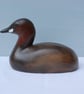 Little grebe - Image 1