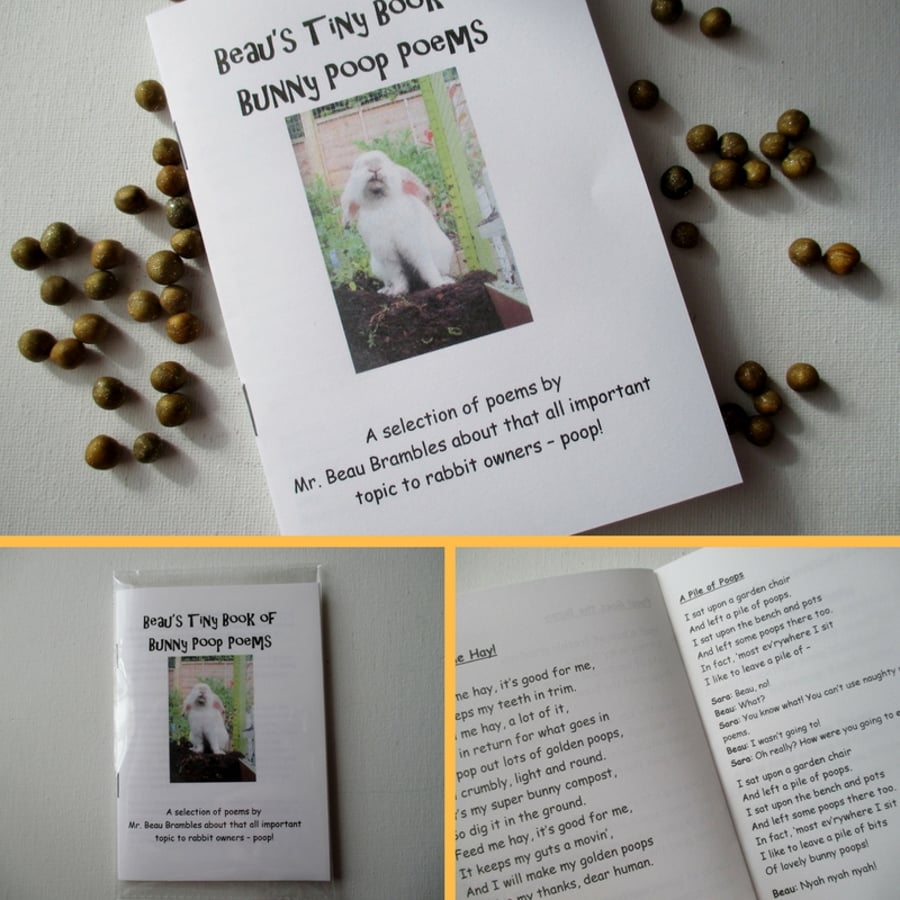 Bunny Rabbit Poetry A Tiny Book of Bunny Poop Poems by Mr. Beau Brambles