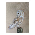 Original Barn Owl Painting on reclaimed and repurposed wood
