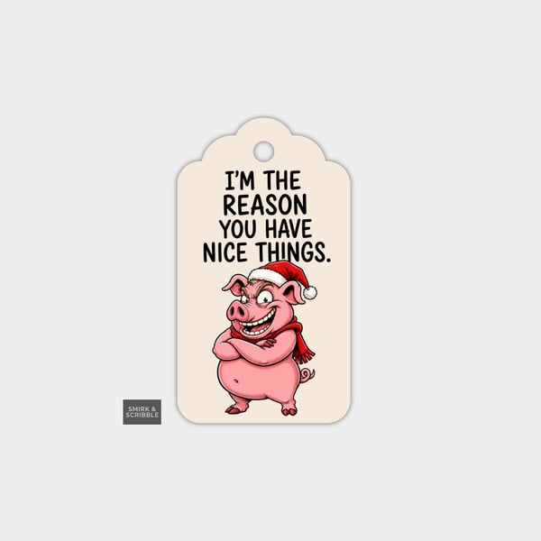 Unique Funny Christmas Gift Tags For Adults, 6pk - Nice Things Pig