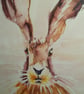 Mounted A4 signed Art Print - Hare  - Image 2