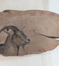 Goat Painting on Reclaimed Wood - Image 2