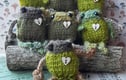 The Baby Froglet Collection