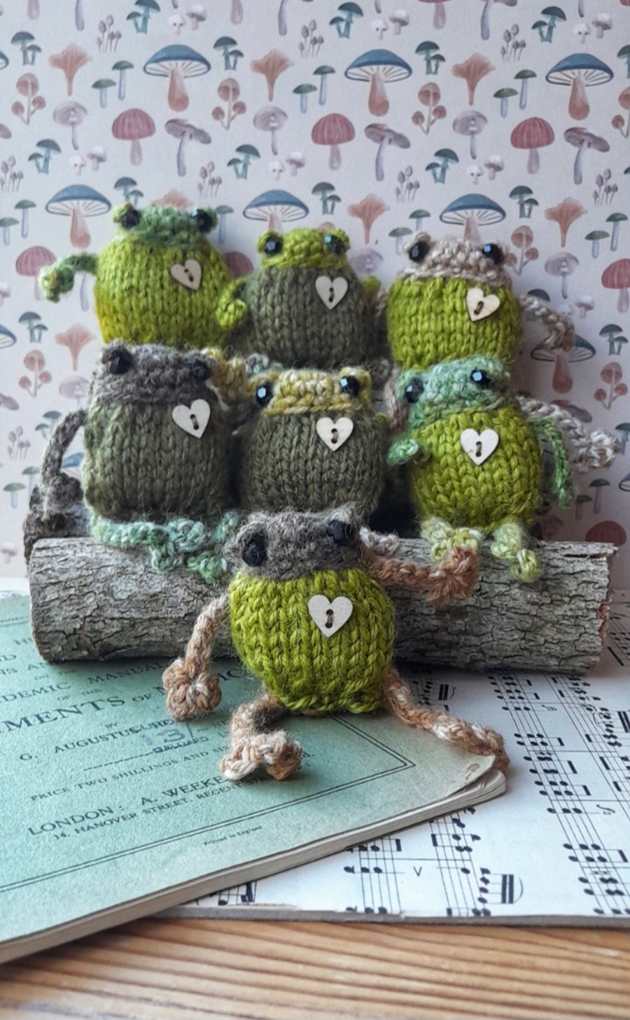 Mystery Handmade Froglet – Pocket Frog Companion