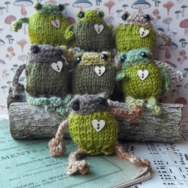 Mystery Handmade Froglet – Pocket Frog Companion