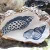Oyster Shell Trinket Dish
