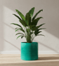  Large Statement 19 cm Persian Green Plant Pot - Turquoise Unique Planter