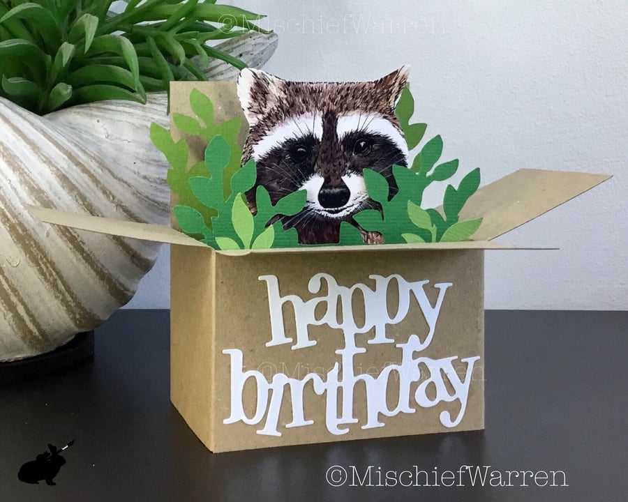 Raccoon Birthday Card. Recycled 3D box card. Happy Birthday gift card holder.