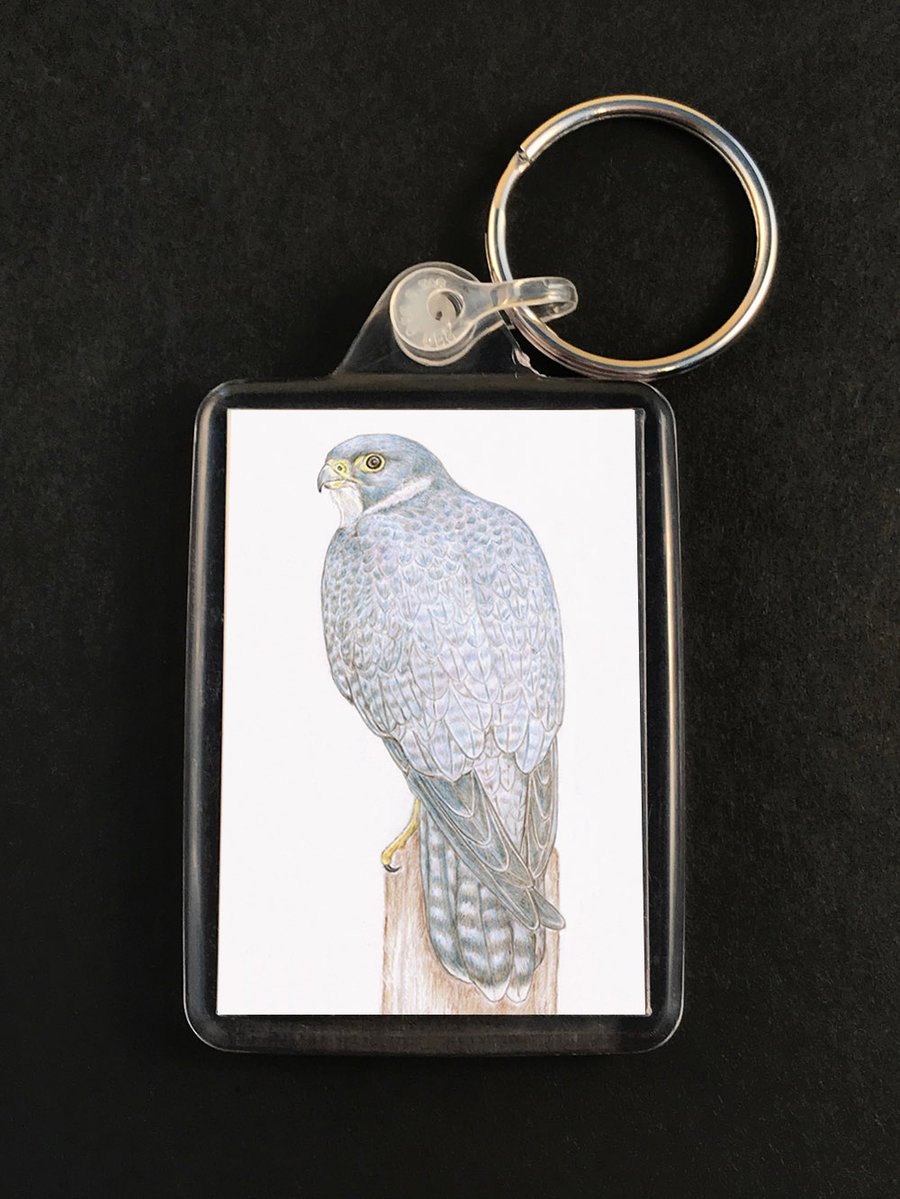 Peregrine Falcon - Keyring