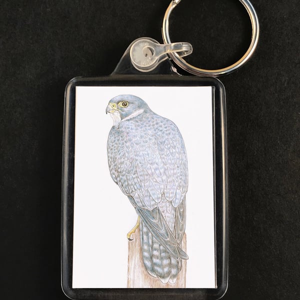 Peregrine Falcon - Keyring