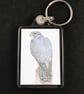 Peregrine Falcon - Keyring - Image 1