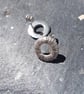 Sea Urchin Loop Studs - Image 3