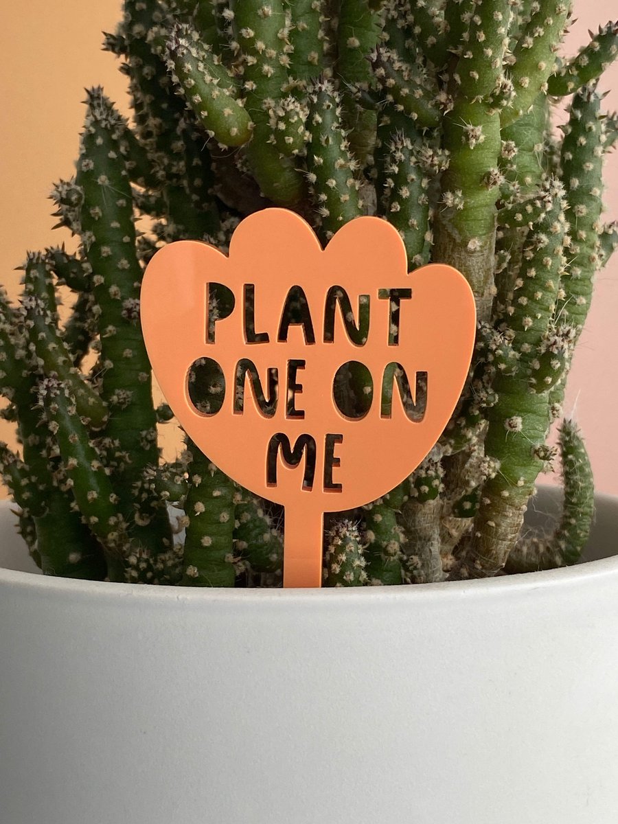 Indoor plants plant stake gift for gardeners indoor plants, house plant decor