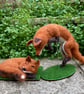  Fox, felt animal sculpture, needle felted sleeping fox model - Image 8
