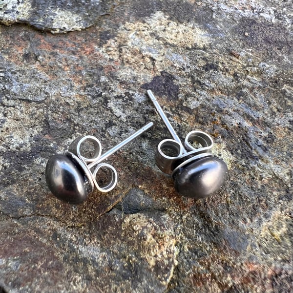 Black Pearl Surgical Steel Studs