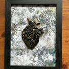 Framed anatomical heart.