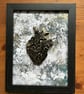 Framed anatomical heart.