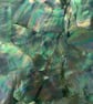 Cat's Eye Green Irregular Mother of Pearl Sheet 240 x 140mm HM052 - for Crafting