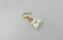 Seashell earrings