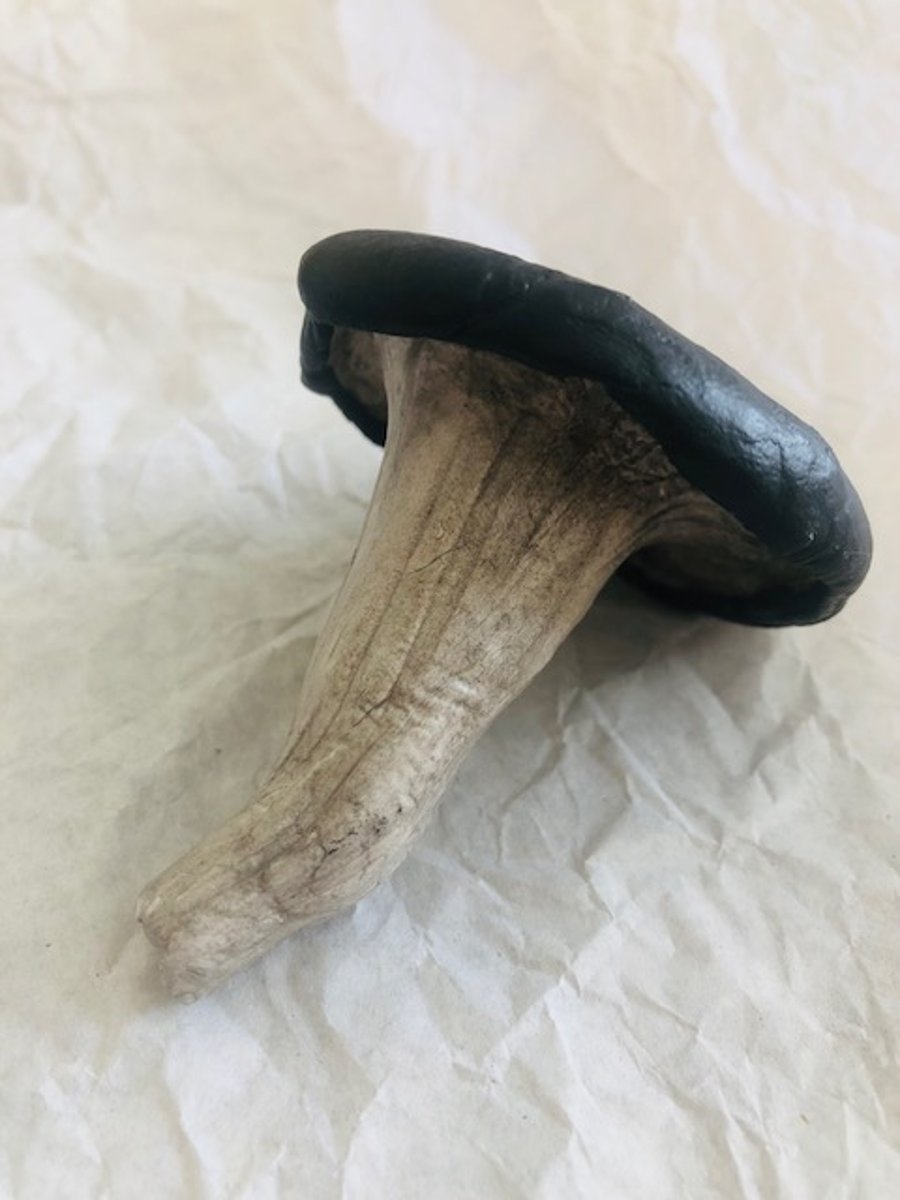 Horn of Plenty Mushroom sculpture