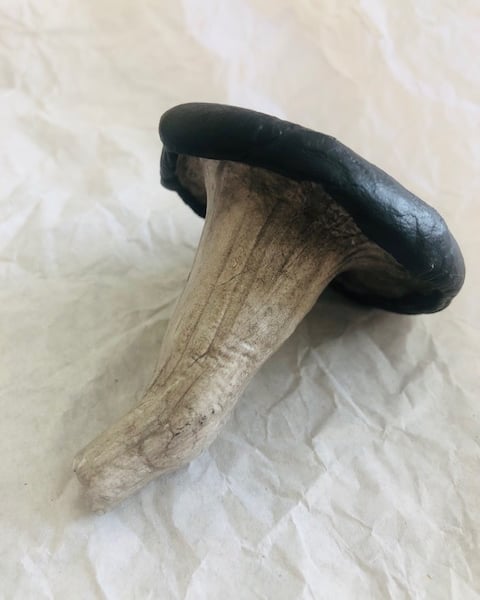 Horn of Plenty Mushroom sculpture