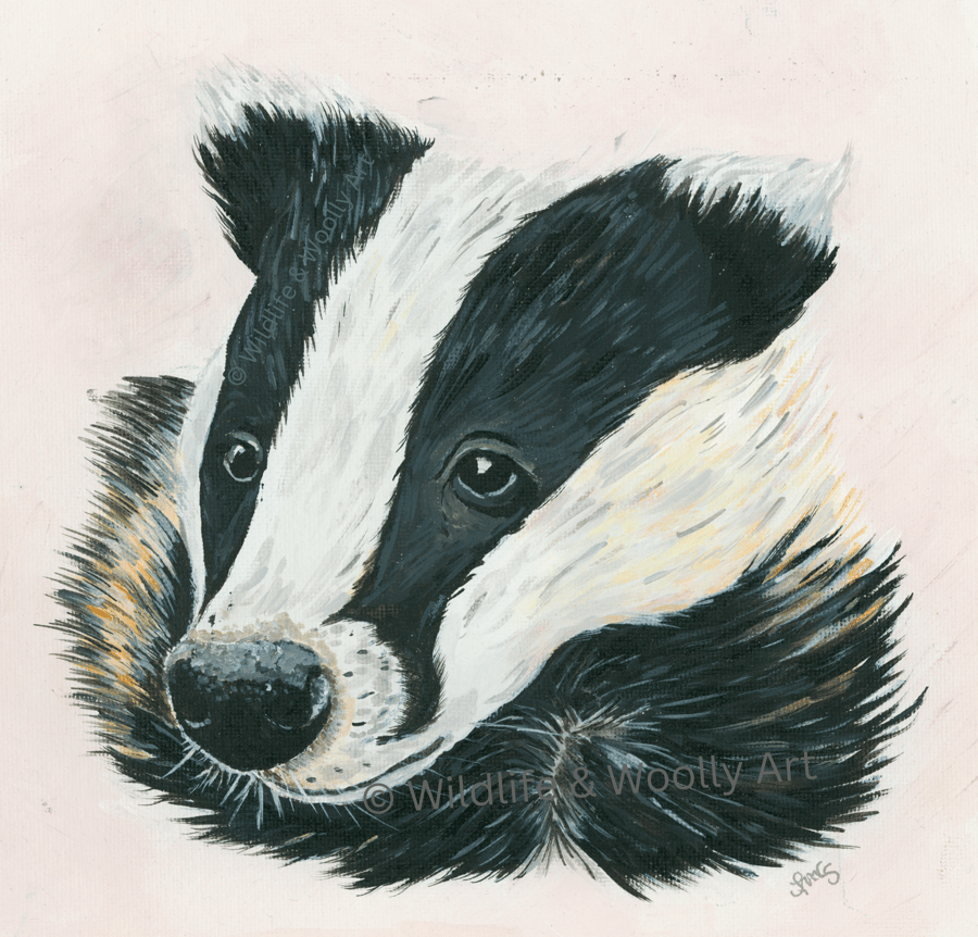 Painted Badger (12"x10") Limited Edition Print - 1 of 20