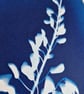 Cyanotype Botanical Print No. 3 - Image 3