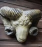 Rams Head Planter Plaque