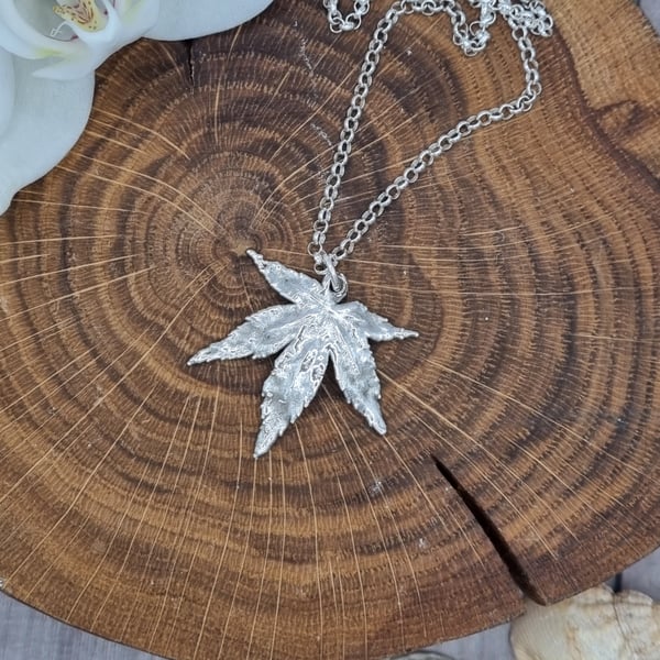 Real Acer (Maple) leaf preserved in silver, pendant necklace