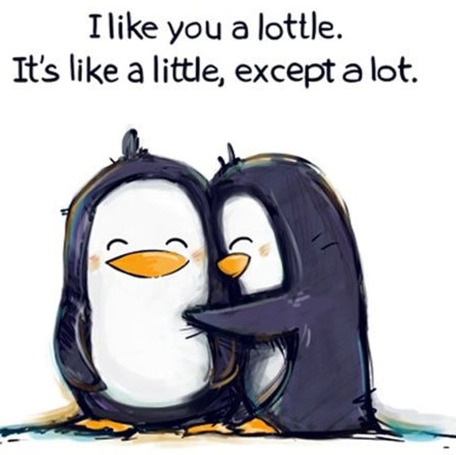 I Like You A Lottle Blank Romantic Greeting Card Valentines or Anniversary