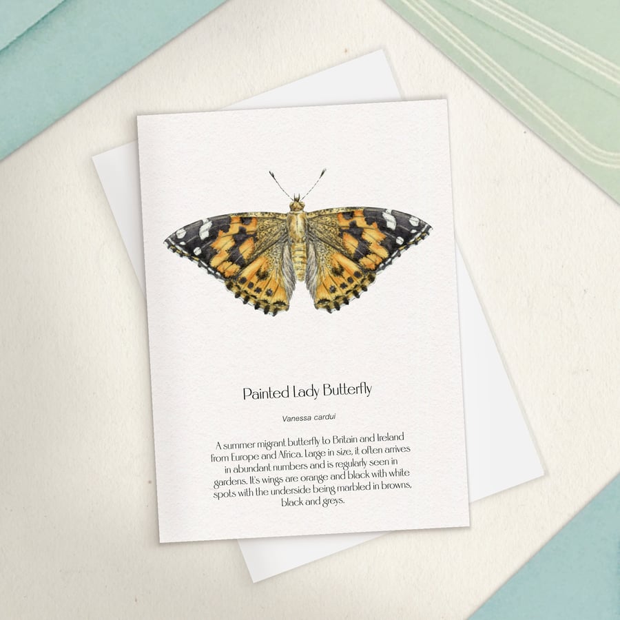 Single Painted Lady Butterfly Greetings Card - A6 Size for birthday of thank you