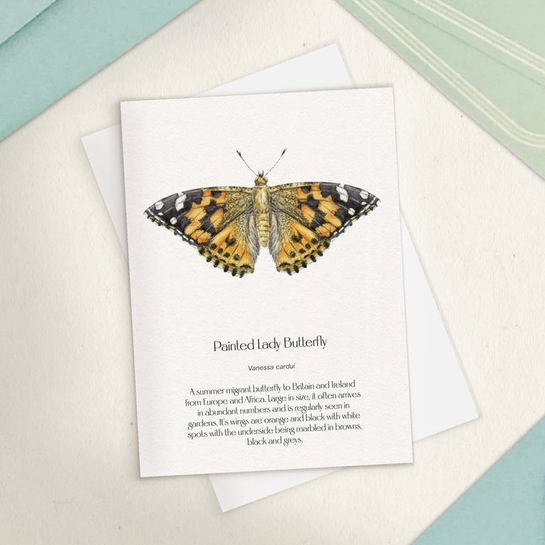 Single Painted Lady Butterfly Greetings Card - A6 Size for birthday of thank you