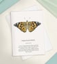 Single Painted Lady Butterfly Greetings Card - A6 Size for birthday of thank you