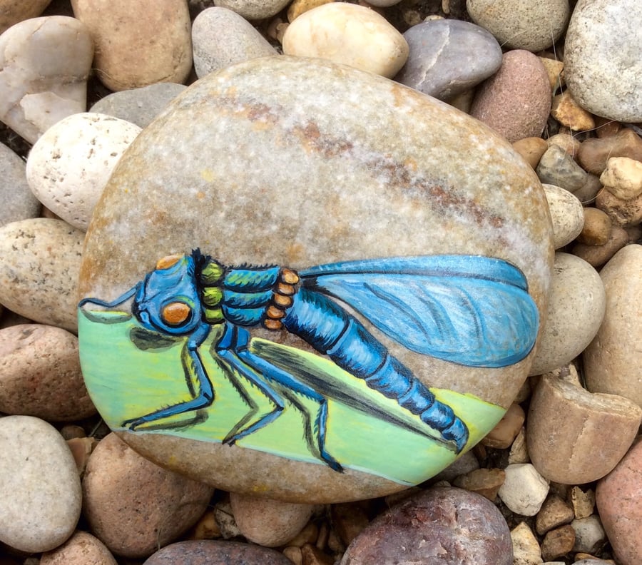 Dragonfly hand painted on stone 