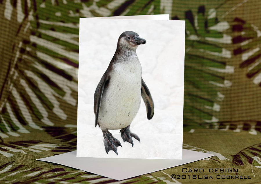 Exclusive Handmade Cute Penguin Greetings Card on Archive Photo Paper