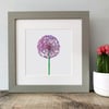 'Allium' Framed Print