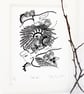 Folk Bird - Image 3