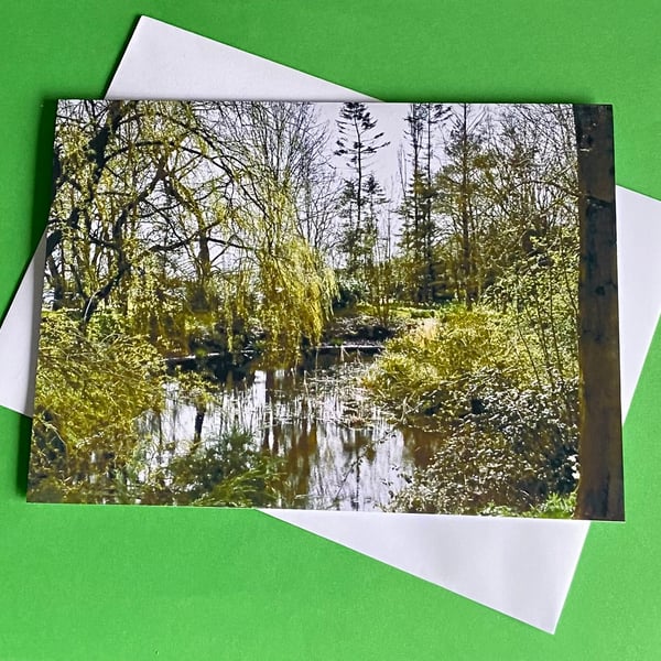 Hartsholme Park Lake Lincoln - Photographic Print Greetings Card