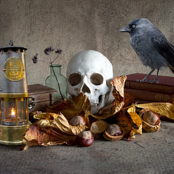 The lamp and the Jackdaw print