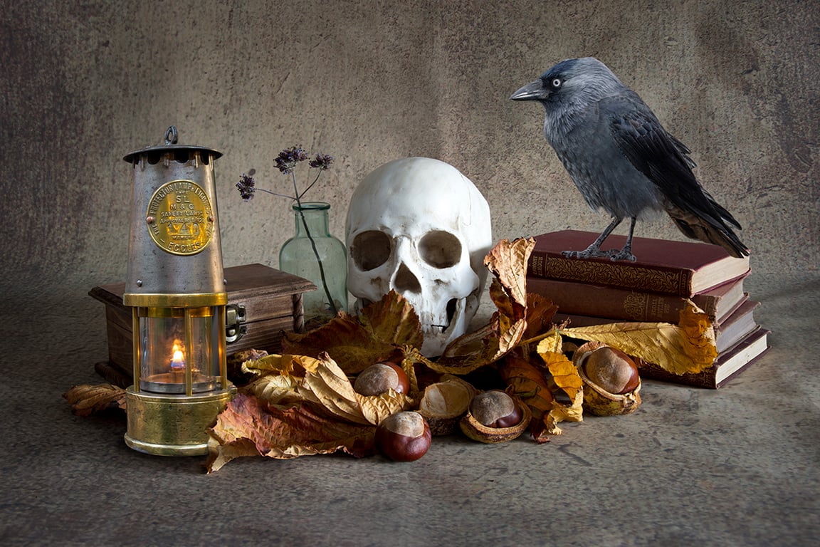 The lamp and the Jackdaw print