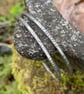 Silver Bangle, patterned oval bangle - Image 3