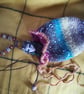 Pixie Pouch  - Image 1