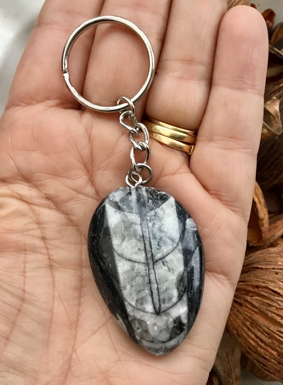 Beautiful Polished Orthoceras Fossil Keyring or Handbag Charm.