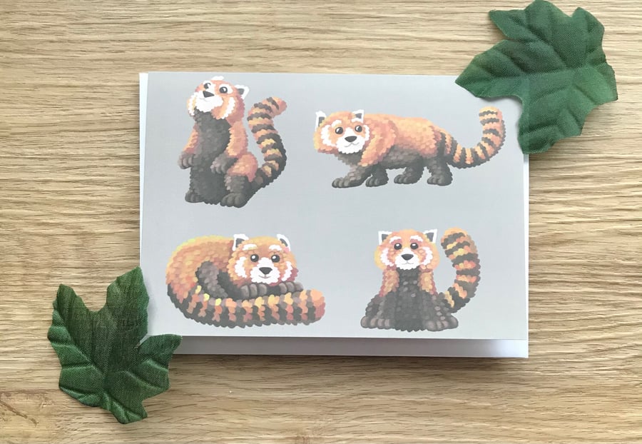 Red Pandas Blank Greeting Card