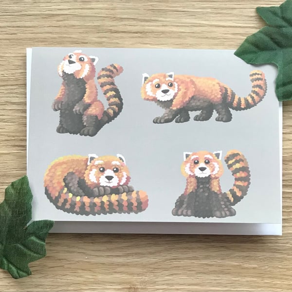 Red Pandas Blank Greeting Card